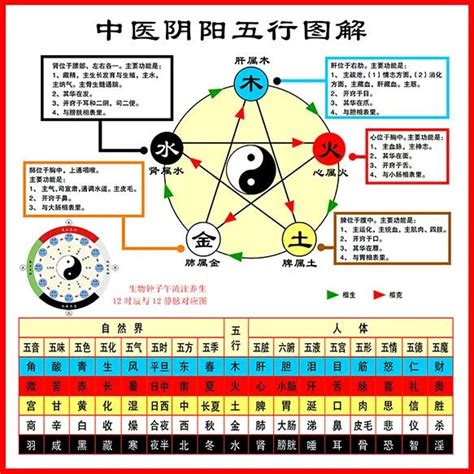 内脏五行|史上最全：中医五行、五脏、五味、五色、五官、五情、五季、五。